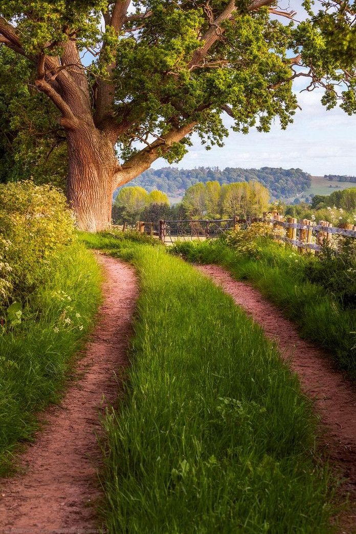 sendero